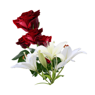 Red Roses & Lilies